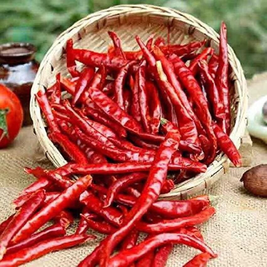 Red chili