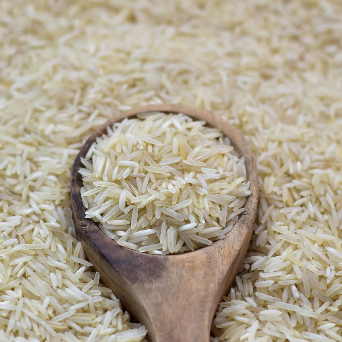 Premium rice